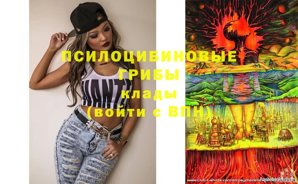 дживик Гусь-Хрустальный