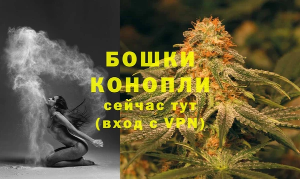 дживик Гусь-Хрустальный