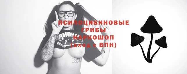 мескалин Гусиноозёрск