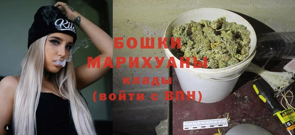 дживик Гусь-Хрустальный