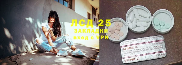 дживик Гусь-Хрустальный
