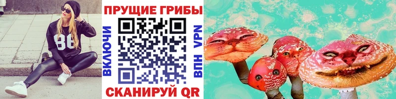 где купить наркоту  Чухлома  Псилоцибиновые грибы MAGIC MUSHROOMS 
